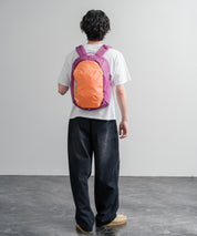 Patagonia ATOM DAY PACK 24L ワンポイントロゴバックパック リュックサック 16216