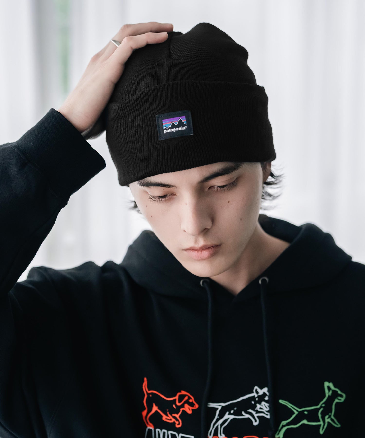 Patagonia パタゴニア EVERYDAY BEANIE ワンポイントロゴニット帽/ビーニー 16476