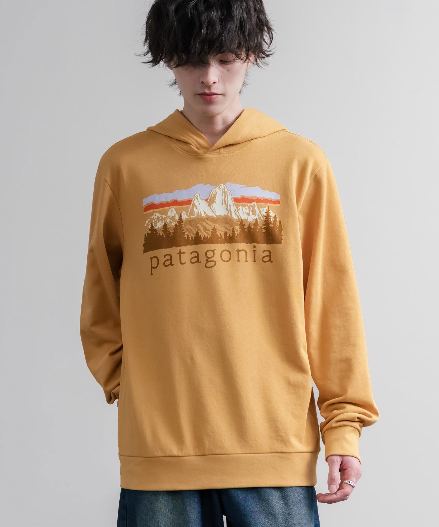 Patagonia パタゴニア M S FITZ ROY FOOTHILLS DAILY HOODY ロゴプリントフレンチテリー裏毛長袖プルオーバーパーカ ー 16537