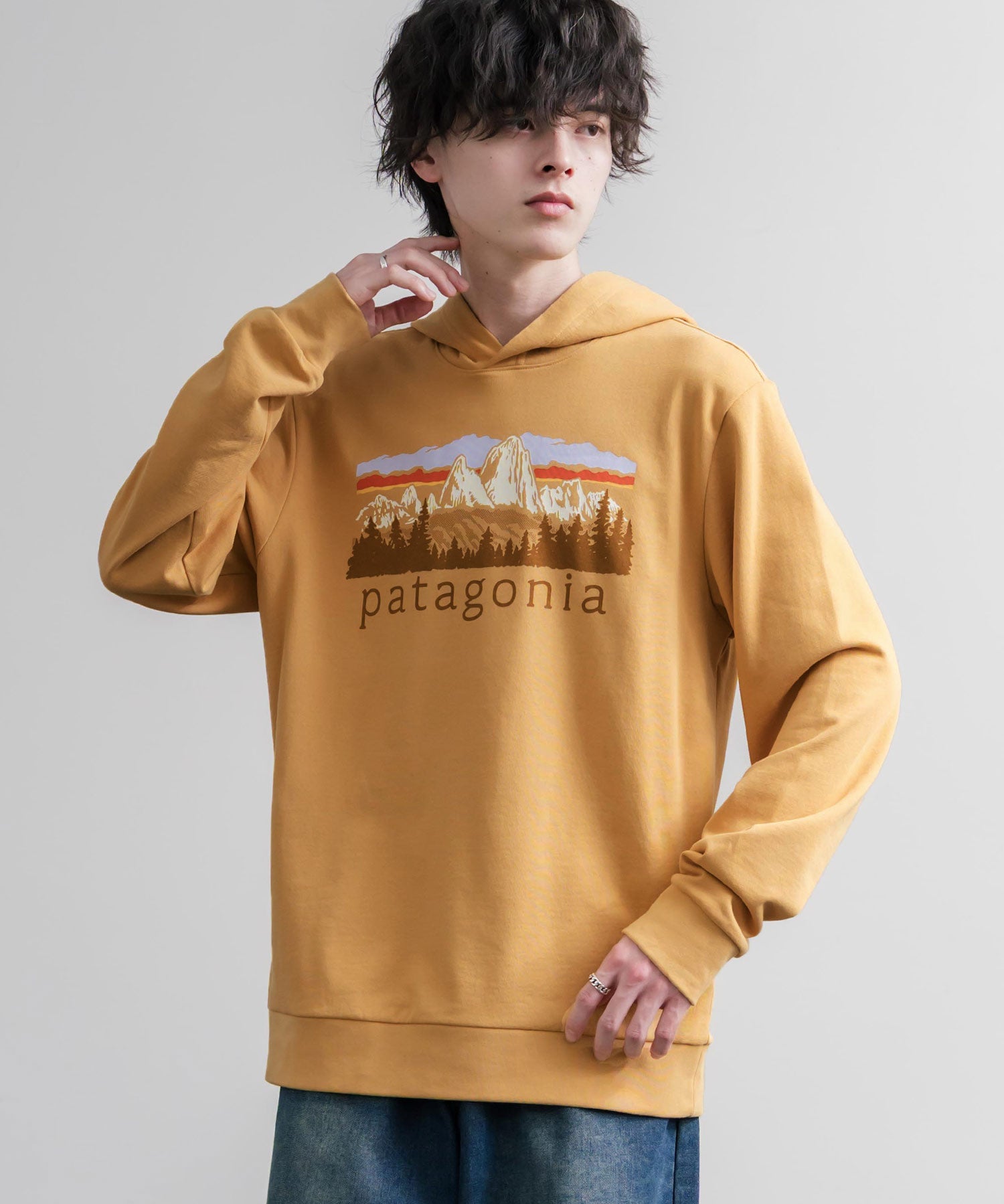 Patagonia パタゴニア M S FITZ ROY FOOTHILLS DAILY HOODY ロゴプリントフレンチテリー裏毛長袖プルオーバーパーカ ー 16537