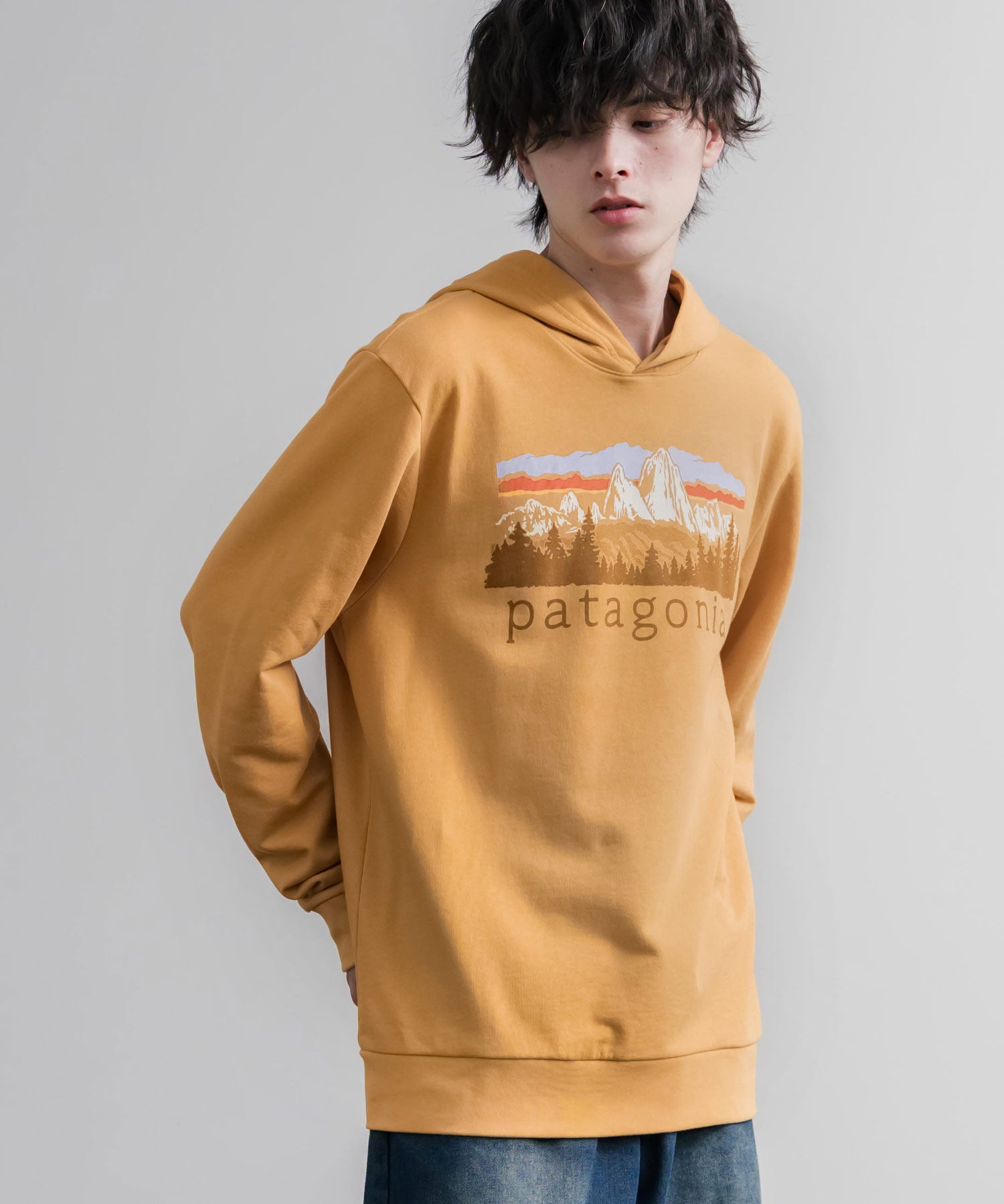 Patagonia パタゴニア M S FITZ ROY FOOTHILLS DAILY HOODY ロゴプリントフレンチテリー裏毛長袖プルオーバーパーカ ー 16537