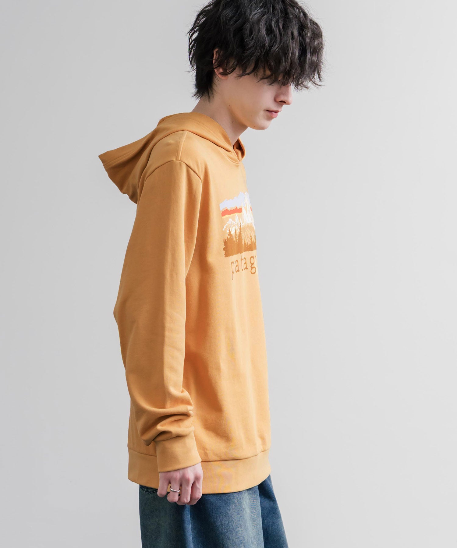 Patagonia パタゴニア M S FITZ ROY FOOTHILLS DAILY HOODY ロゴプリントフレンチテリー裏毛長袖プルオーバーパーカ ー 16537