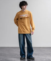 Patagonia パタゴニア M S FITZ ROY FOOTHILLS DAILY HOODY ロゴプリントフレンチテリー裏毛長袖プルオーバーパーカ ー 16537