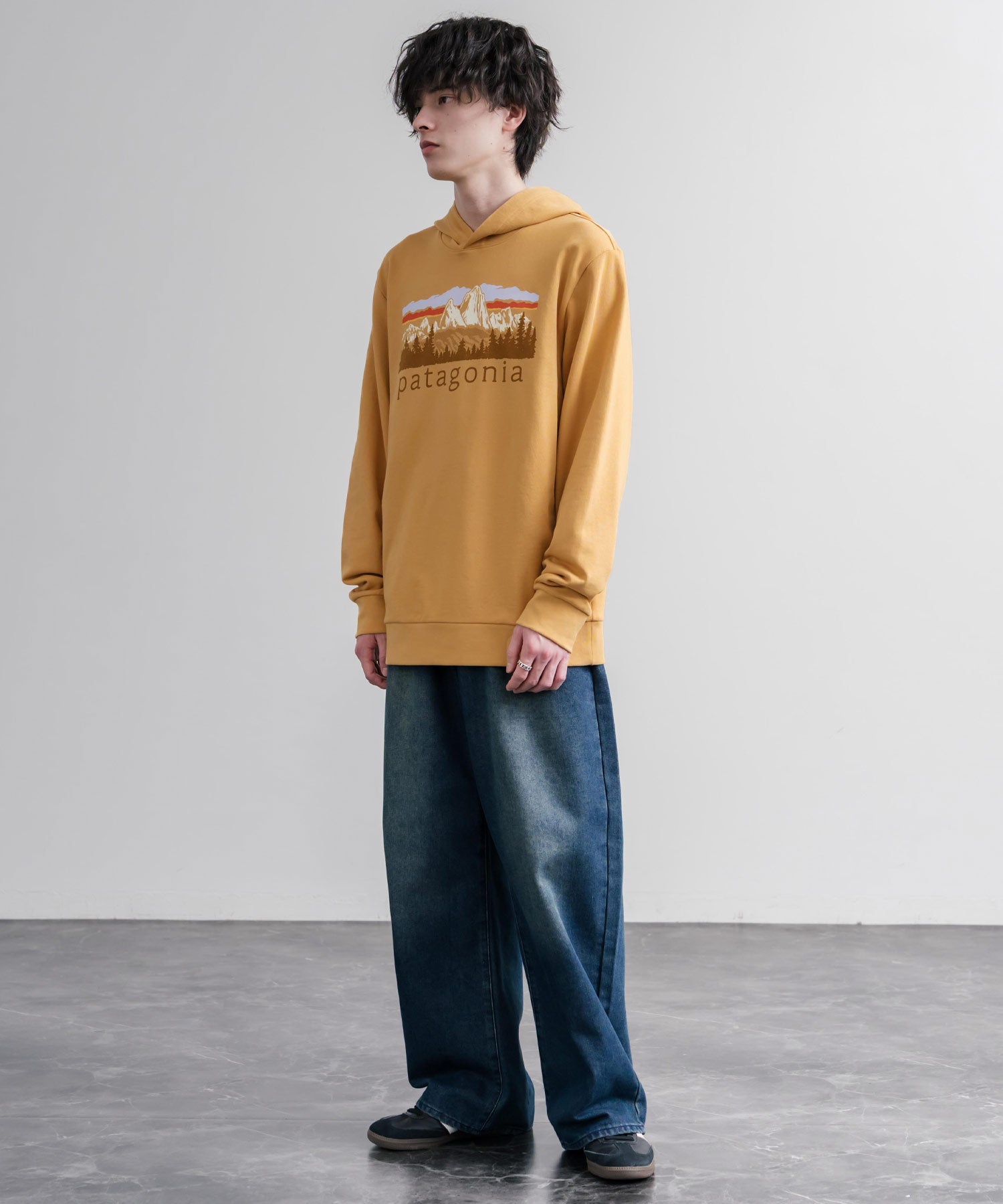 Patagonia パタゴニア M S FITZ ROY FOOTHILLS DAILY HOODY ロゴプリントフレンチテリー裏毛長袖プルオーバーパーカ ー 16537