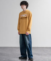 Patagonia パタゴニア M S FITZ ROY FOOTHILLS DAILY HOODY ロゴプリントフレンチテリー裏毛長袖プルオーバーパーカ ー 16537