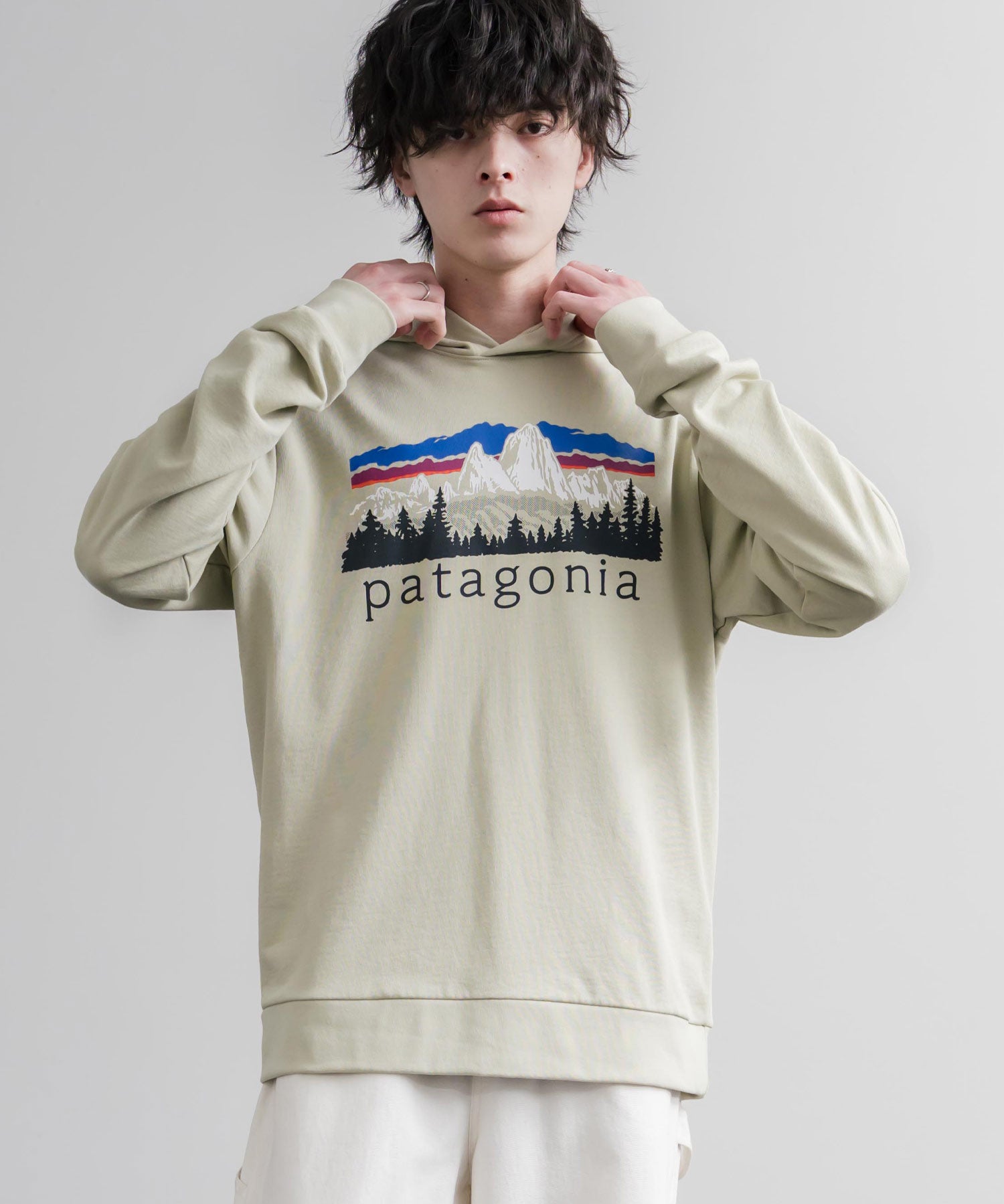 Patagonia パタゴニア M S FITZ ROY FOOTHILLS DAILY HOODY ロゴプリントフレンチテリー裏毛長袖プルオーバーパーカ ー 16537