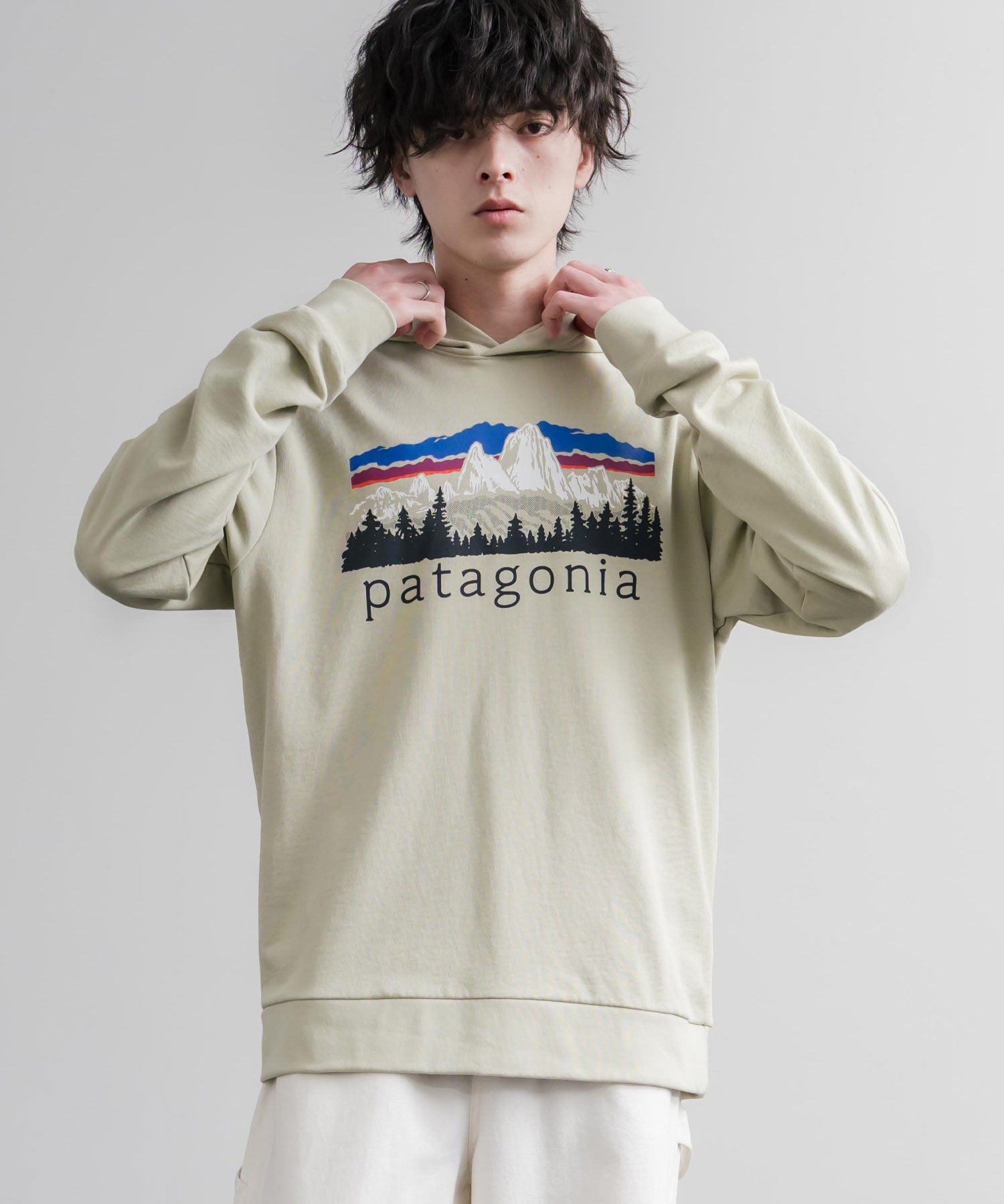 Patagonia パタゴニア M S FITZ ROY FOOTHILLS DAILY HOODY ロゴプリントフレンチテリー裏毛長袖プルオーバーパーカ ー 16537
