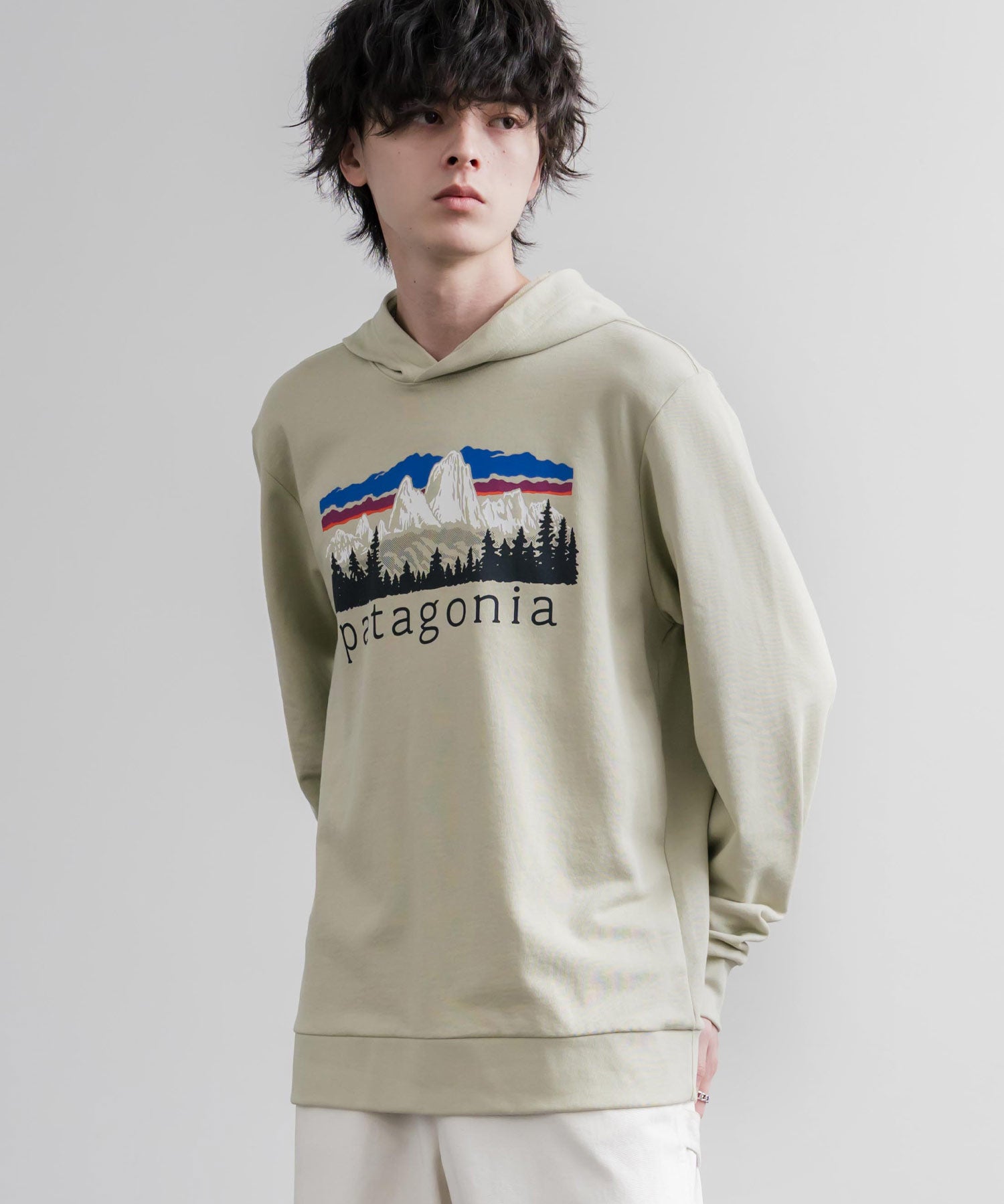 Patagonia パタゴニア M S FITZ ROY FOOTHILLS DAILY HOODY ロゴプリントフレンチテリー裏毛長袖プルオーバーパーカ ー 16537