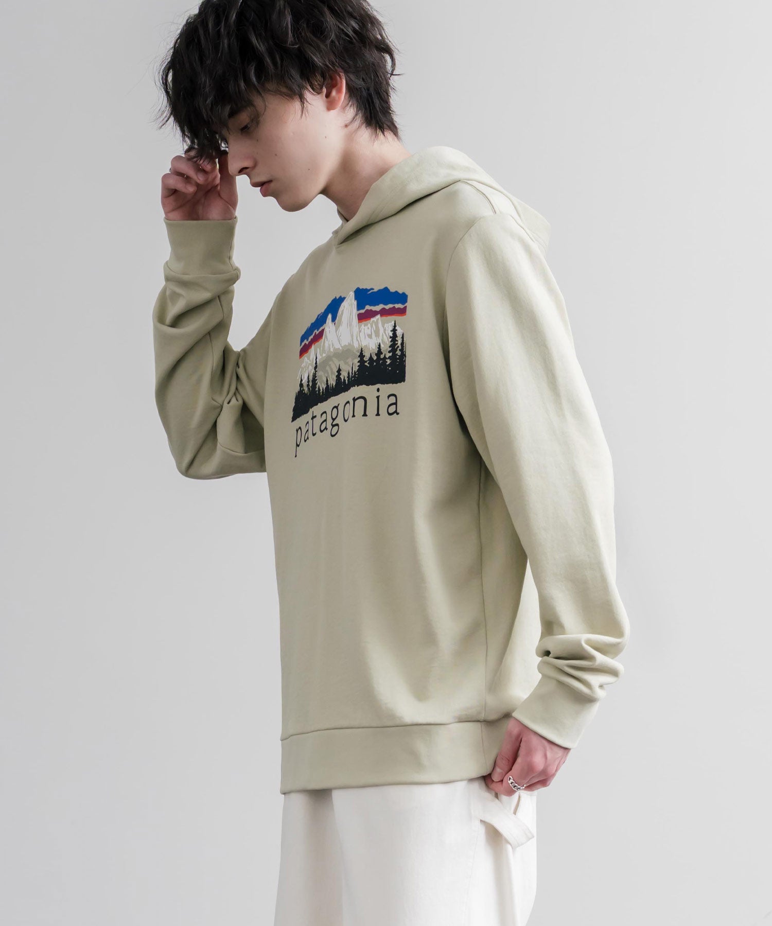 Patagonia パタゴニア M S FITZ ROY FOOTHILLS DAILY HOODY ロゴプリントフレンチテリー裏毛長袖プルオーバーパーカ ー 16537