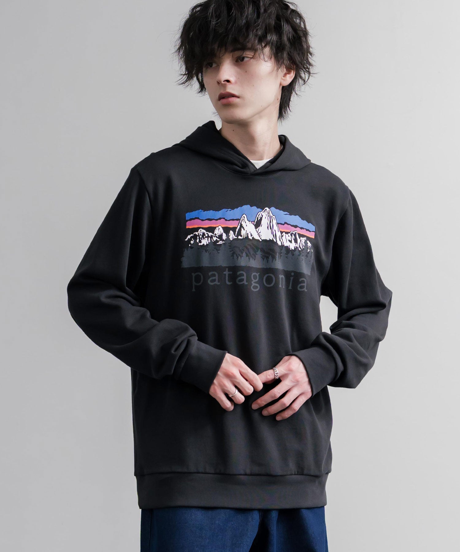 Patagonia パタゴニア M S FITZ ROY FOOTHILLS DAILY HOODY ロゴプリントフレンチテリー裏毛長袖プルオーバーパーカ ー 16537