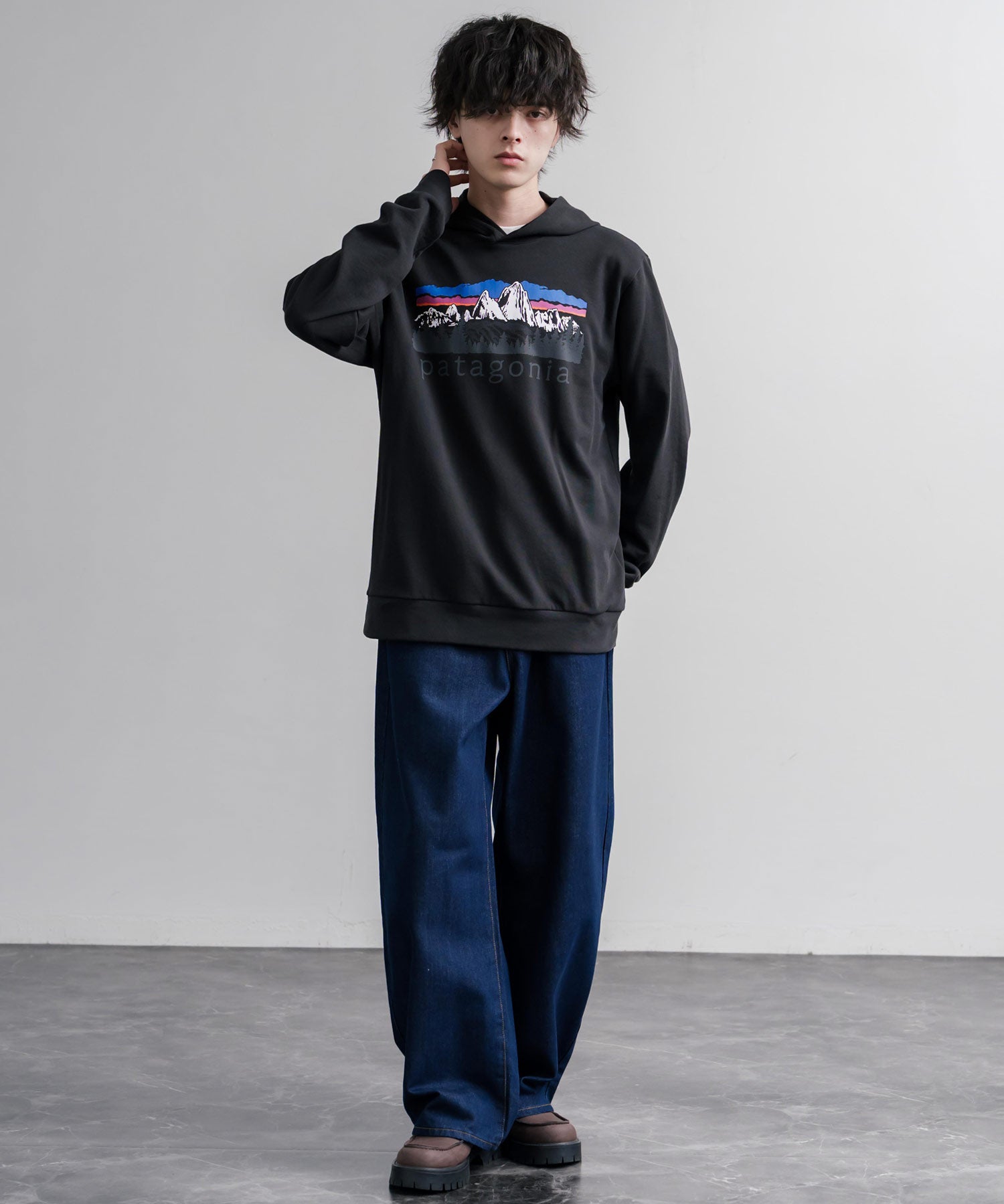 Patagonia パタゴニア M S FITZ ROY FOOTHILLS DAILY HOODY ロゴプリントフレンチテリー裏毛長袖プルオーバーパーカ ー 16537
