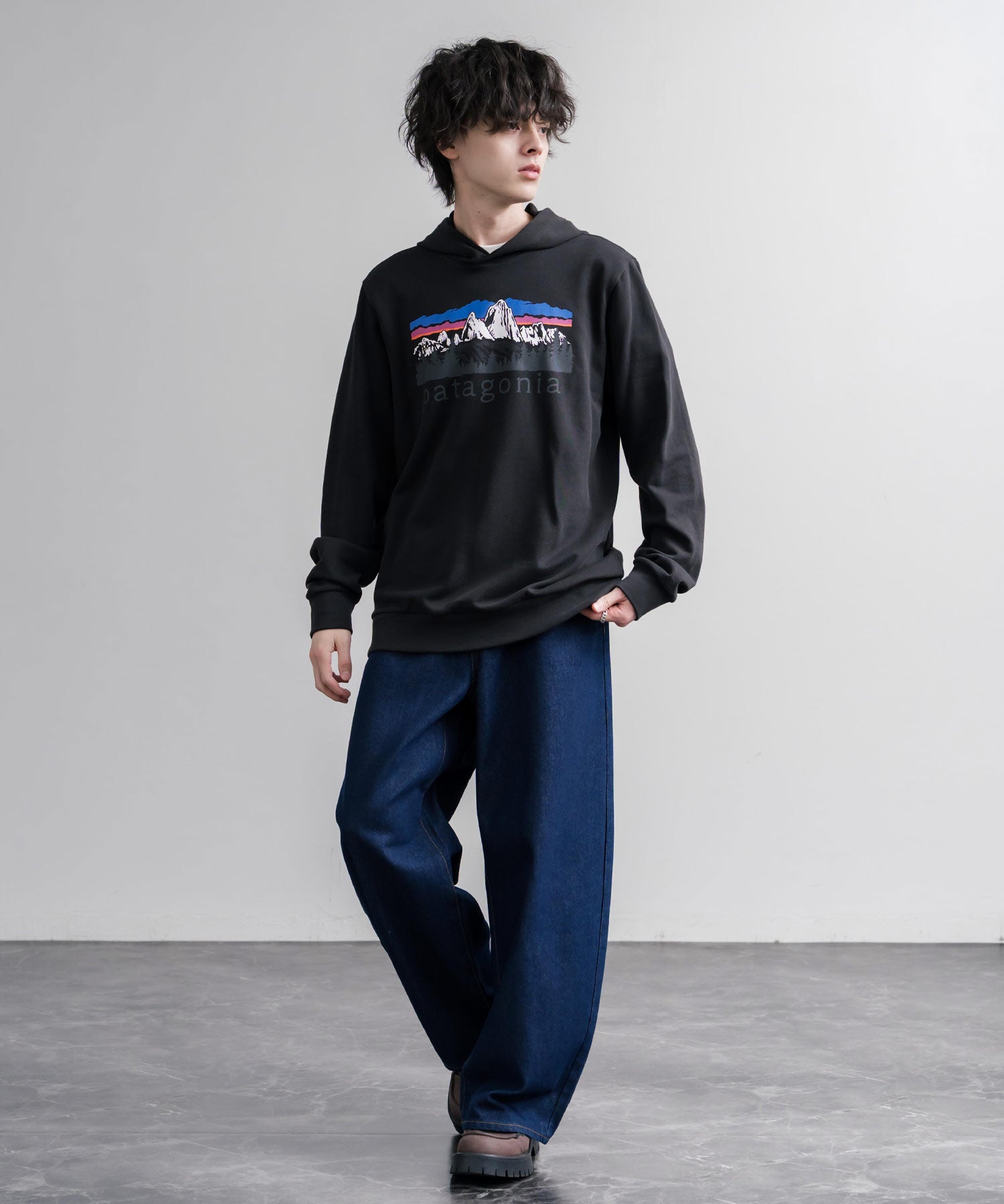 Patagonia パタゴニア M S FITZ ROY FOOTHILLS DAILY HOODY ロゴプリントフレンチテリー裏毛長袖プルオーバーパーカ ー 16537