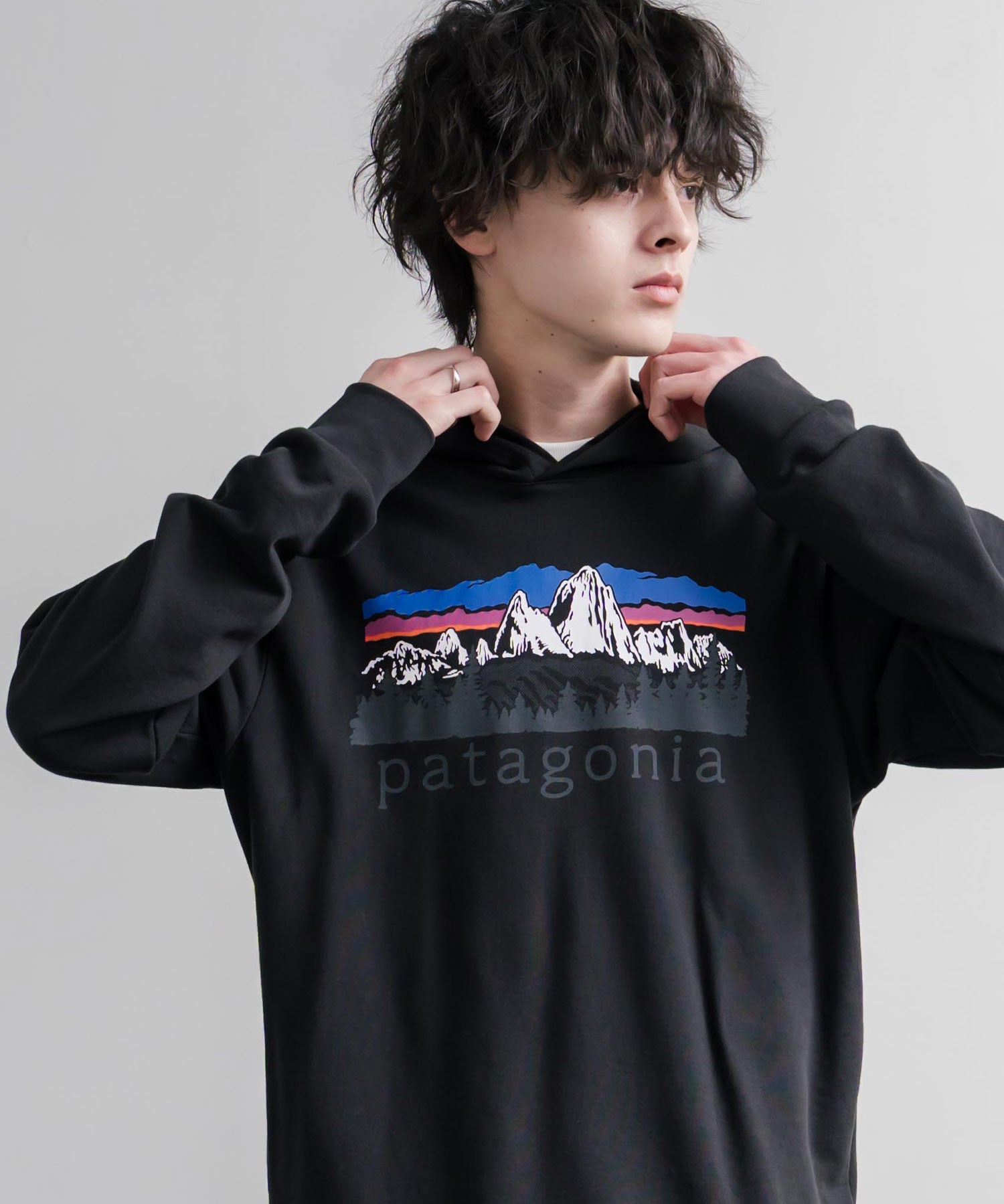 Patagonia パタゴニア M S FITZ ROY FOOTHILLS DAILY HOODY ロゴプリントフレンチテリー裏毛長袖プルオーバーパーカ ー 16537