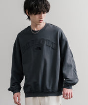 日本未展開モデル THE NORTH FACE ザ・ノースフェイス WHITE LABEL ホワイトレーベル EXPLORE SWEATSHIRTS アップリケ刺繍裏毛長袖スウェット/アーチロゴトレーナー 16595