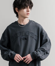 日本未展開モデル THE NORTH FACE ザ・ノースフェイス WHITE LABEL ホワイトレーベル EXPLORE SWEATSHIRTS アップリケ刺繍裏毛長袖スウェット/アーチロゴトレーナー 16595