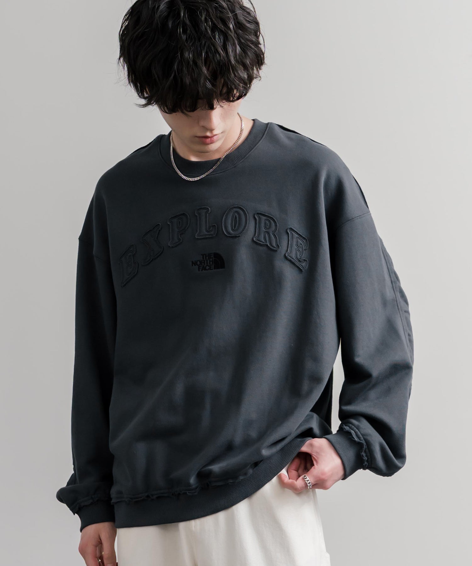 日本未展開モデル THE NORTH FACE ザ・ノースフェイス WHITE LABEL ホワイトレーベル EXPLORE SWEATSHIRTS アップリケ刺繍裏毛長袖スウェット/アーチロゴトレーナー 16595
