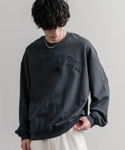 日本未展開モデル THE NORTH FACE ザ・ノースフェイス WHITE LABEL ホワイトレーベル EXPLORE SWEATSHIRTS アップリケ刺繍裏毛長袖スウェット/アーチロゴトレーナー 16595