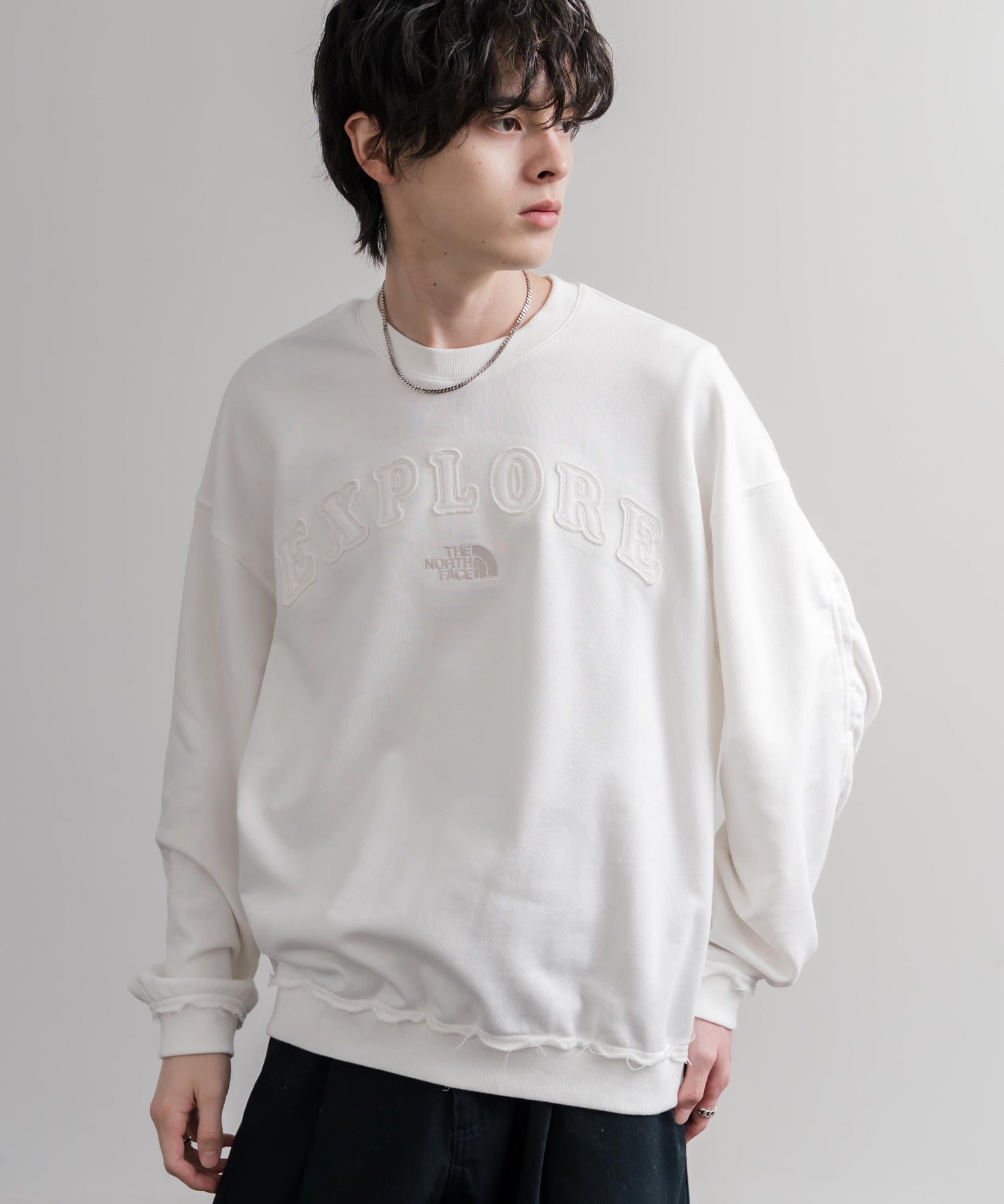 日本未展開モデル THE NORTH FACE ザ・ノースフェイス WHITE LABEL ホワイトレーベル EXPLORE SWEATSHIRTS アップリケ刺繍裏毛長袖スウェット/アーチロゴトレーナー 16595