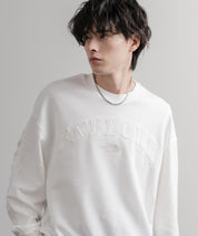 日本未展開モデル THE NORTH FACE ザ・ノースフェイス WHITE LABEL ホワイトレーベル EXPLORE SWEATSHIRTS アップリケ刺繍裏毛長袖スウェット/アーチロゴトレーナー 16595