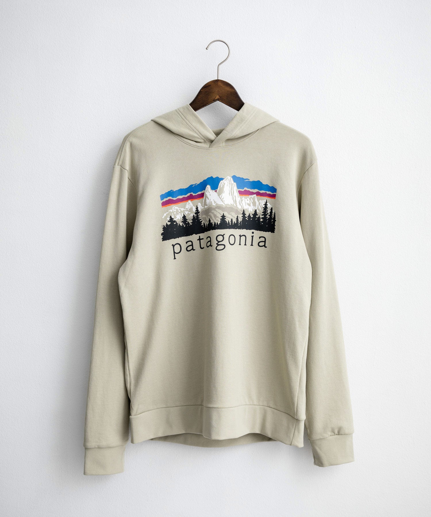 Patagonia パタゴニア M S FITZ ROY FOOTHILLS DAILY HOODY ロゴプリントフレンチテリー裏毛長袖プルオーバーパーカ ー 16537