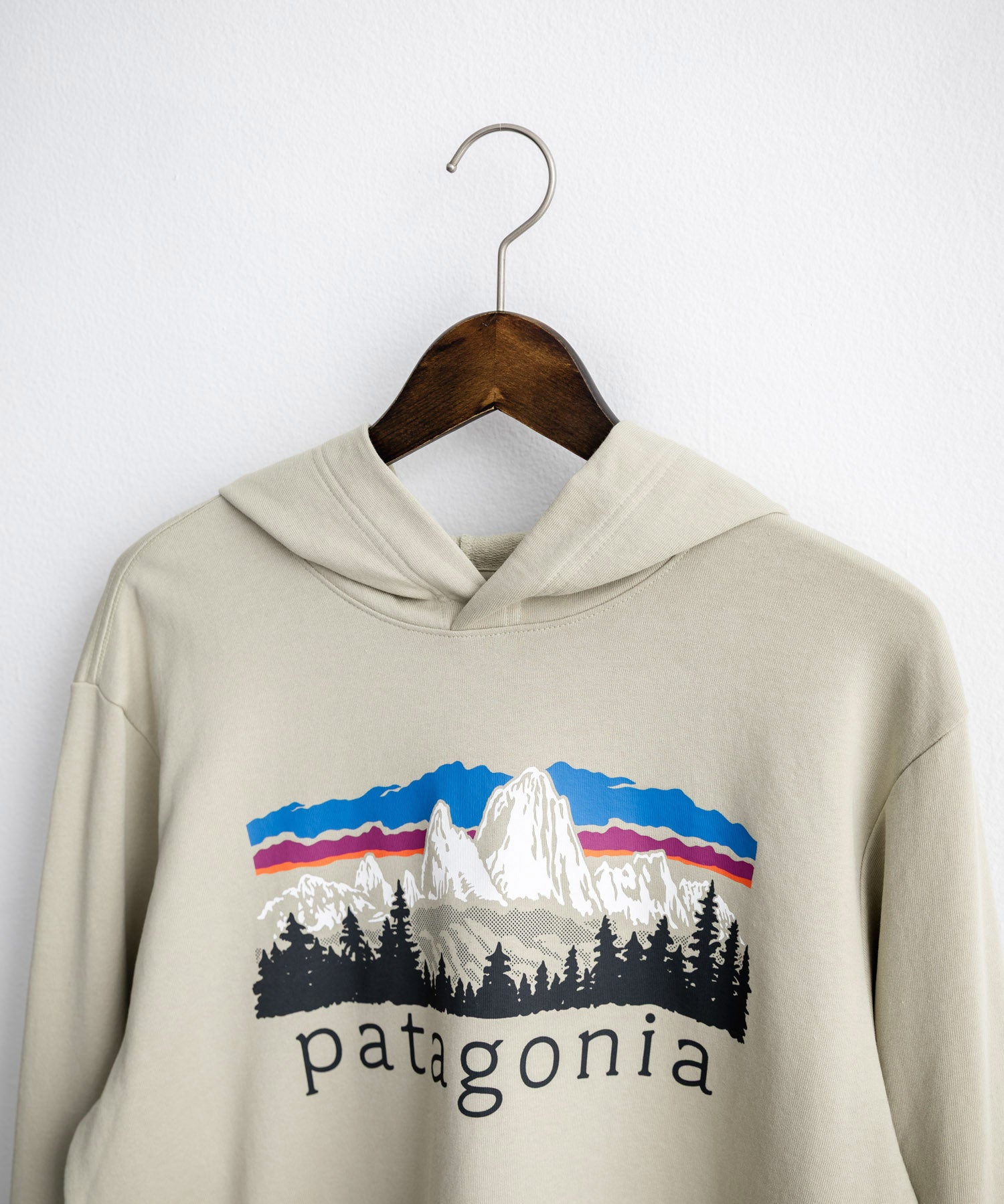 Patagonia パタゴニア M S FITZ ROY FOOTHILLS DAILY HOODY ロゴプリントフレンチテリー裏毛長袖プルオーバーパーカ ー 16537