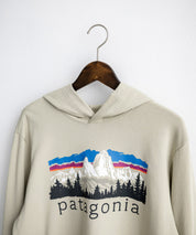 Patagonia パタゴニア M S FITZ ROY FOOTHILLS DAILY HOODY ロゴプリントフレンチテリー裏毛長袖プルオーバーパーカ ー 16537