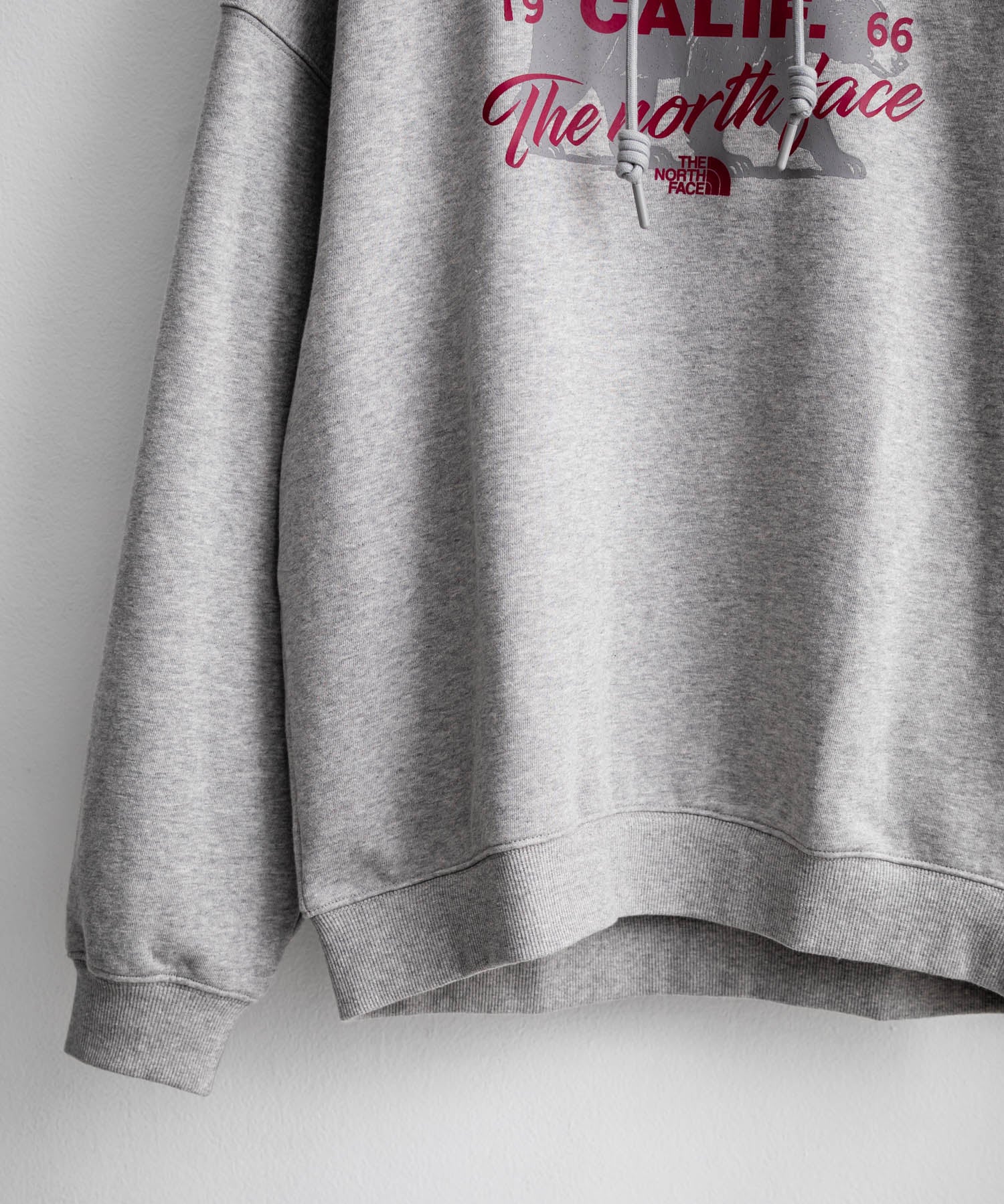 日本未展開モデル THE NORTH FACE ザ・ノースフェイス WHITE LABEL ホワイトレーベル BERKELEY HOODIE 裏毛アニマルプリントパーカー/フーディー 16610