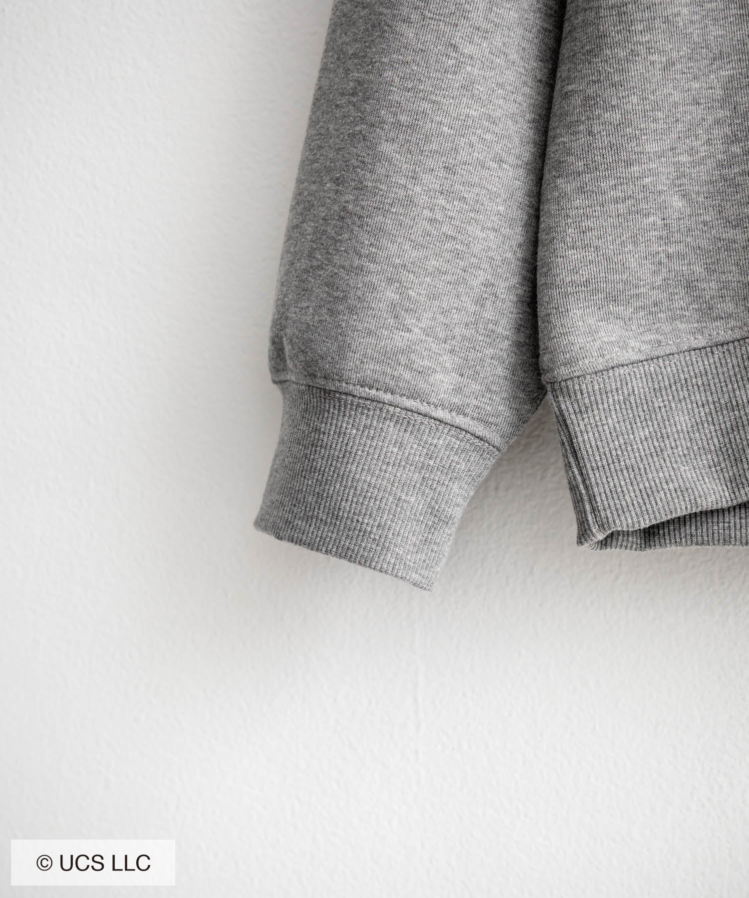 Universal City Studios LLC 別注コラボ オーバーサイズヴィンテージライクグラフィックプリント裏起毛スウェットトレーナー 15115