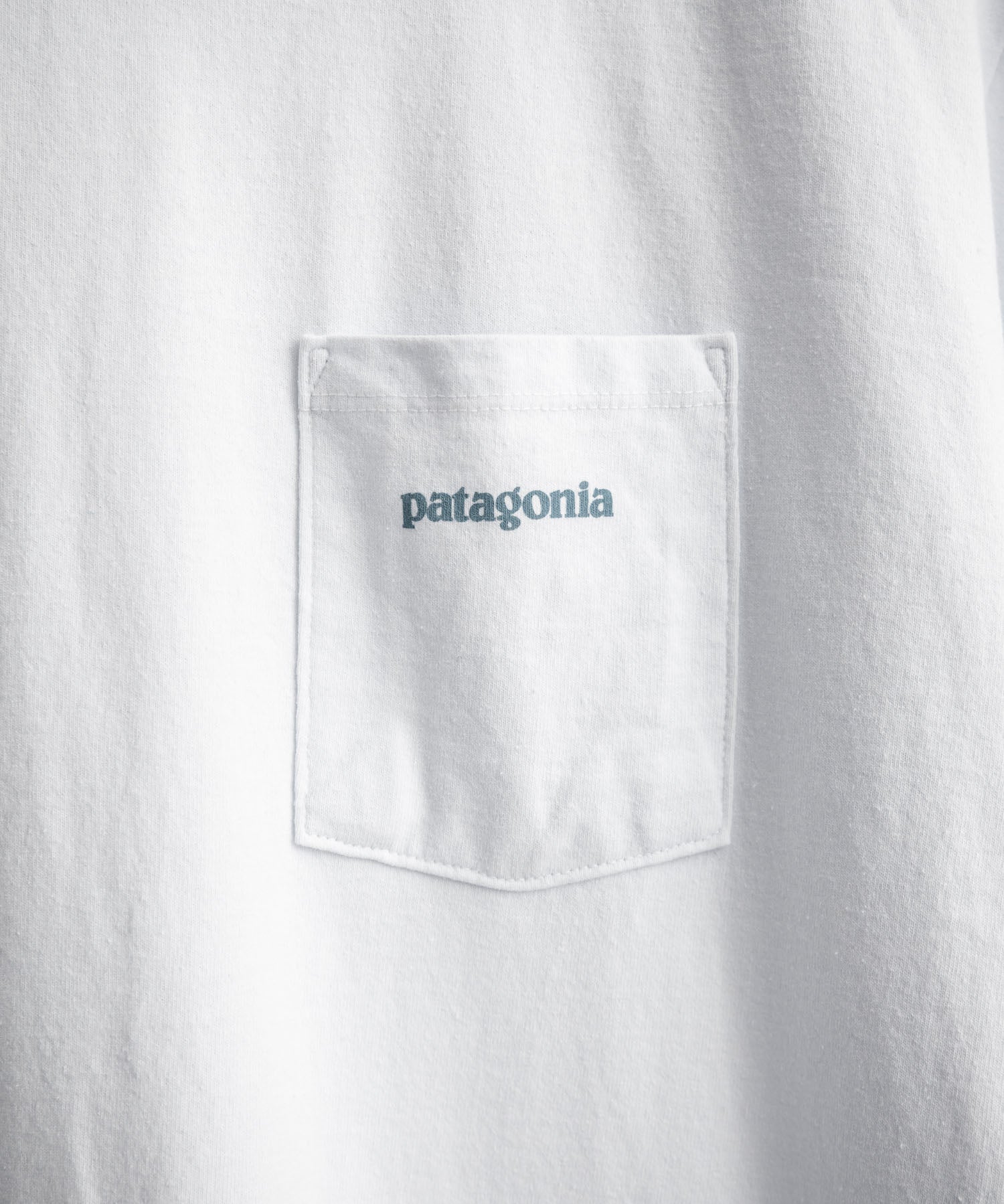 Patagonia パタゴニア M'S BOARDSHORT LOGO POCKET RESPONSIBILI-TEE 胸ポケット付きバックプリント半袖Tシャツ 16114