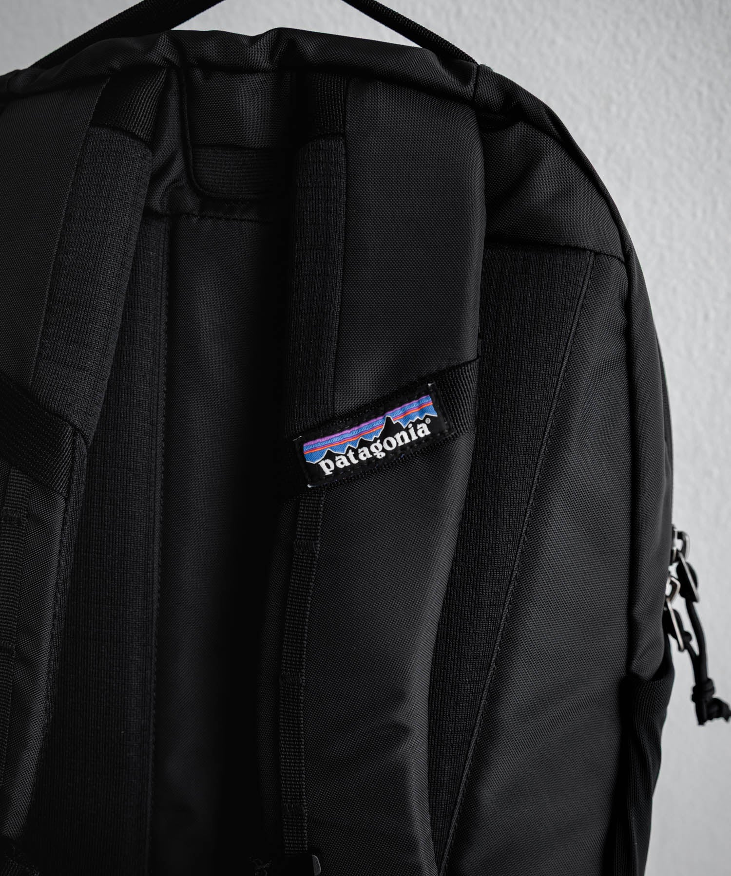 Patagonia ATOM DAY PACK 24L ワンポイントロゴバックパック リュックサック 16216