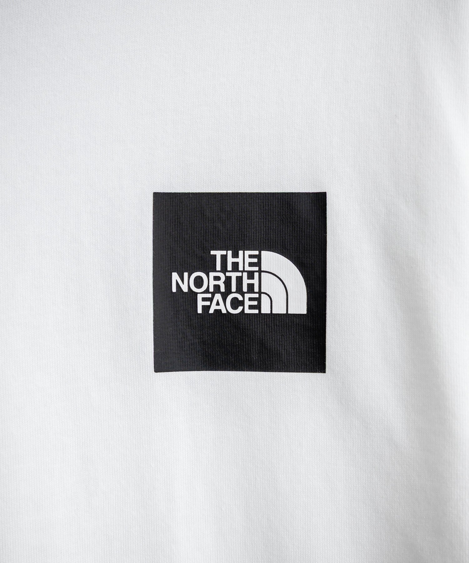 THE NORTH FACE ザ・ノースフェイス M HEAVYWEIGHT CITY TRAVERSE RELAXED SS TEE GRAPHIC - AP バックプリントTシャツ 16249