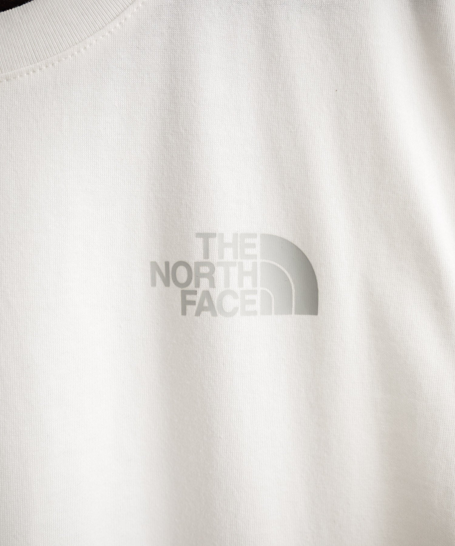 THE NORTH FACE M’S BASK SLEEVELESS 接触冷感バックグラフィックプリントノースリーブ 16022