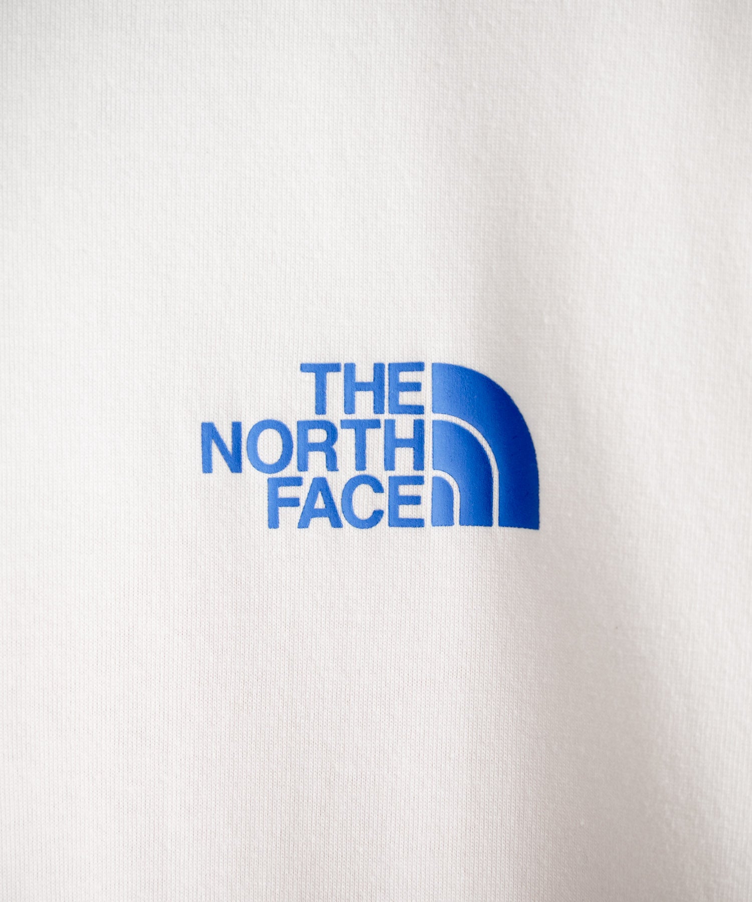 日本未展開モデル THE NORTH FACE WHITE LABEL HALF DOME S/S R/TEE 接触冷感バックプリント半袖Tシャツ 16064