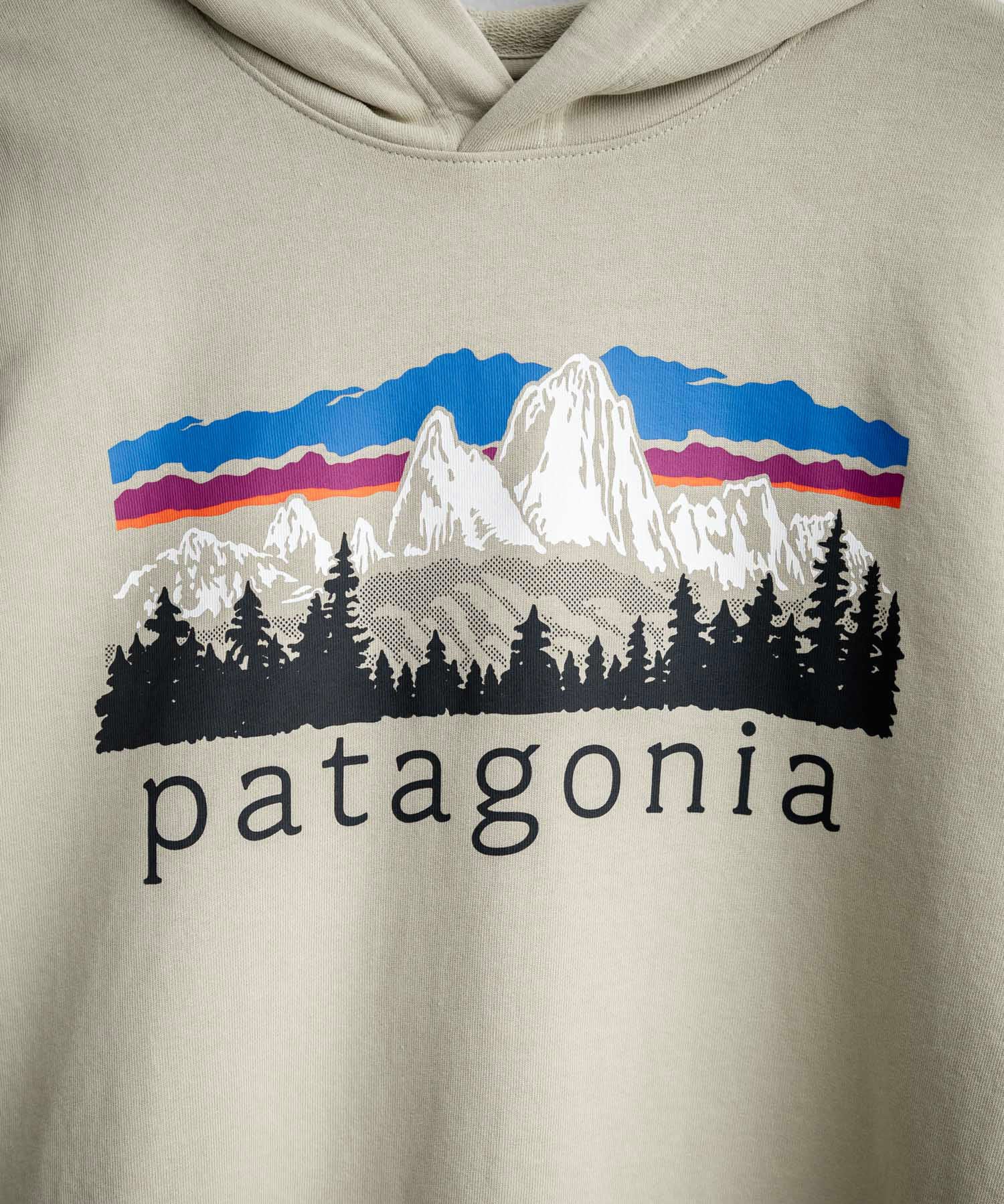 Patagonia パタゴニア M S FITZ ROY FOOTHILLS DAILY HOODY ロゴプリントフレンチテリー裏毛長袖プルオーバーパーカ ー 16537
