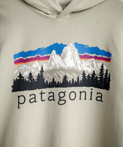 Patagonia パタゴニア M S FITZ ROY FOOTHILLS DAILY HOODY ロゴプリントフレンチテリー裏毛長袖プルオーバーパーカ ー 16537