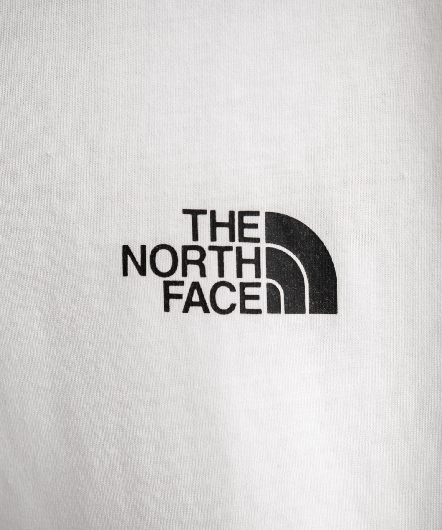 THE NORTH FACE ザ・ノースフェイス BOX NSE ENG R6 SS TEE レギュラーフィット半袖バックプリントTシャツ 15922