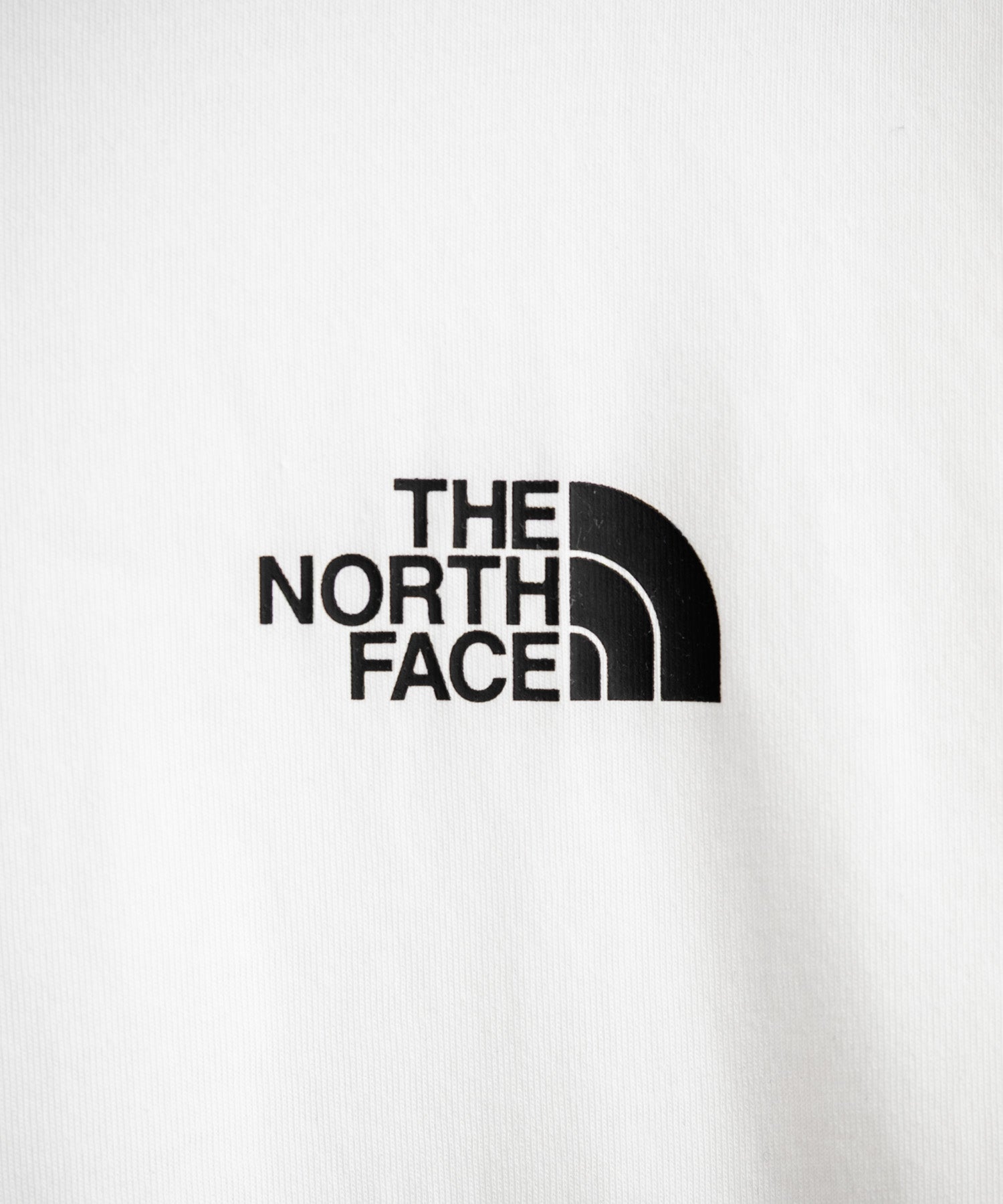 THE NORTH FACE ザ・ノースフェイス M VERTICAL REGULAR SHORT バックプリント半袖Tシャツ 15822