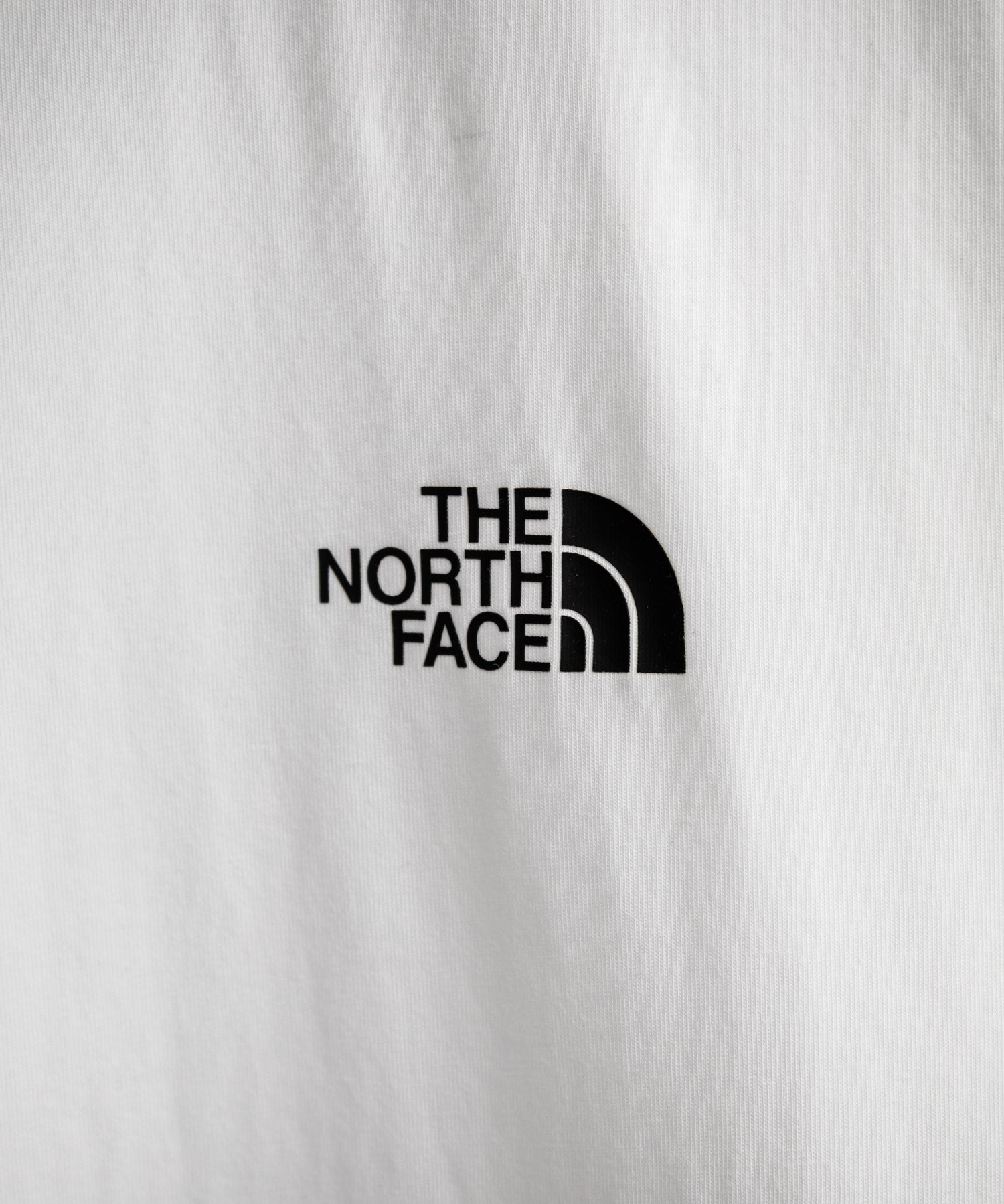 THE NORTH FACE ザ・ノースフェイス M'S TRANS ANTARCTIC S/S R/TEE 1 接触冷感 UVカット レギュラーフィット半袖プリントTシャツ 15938
