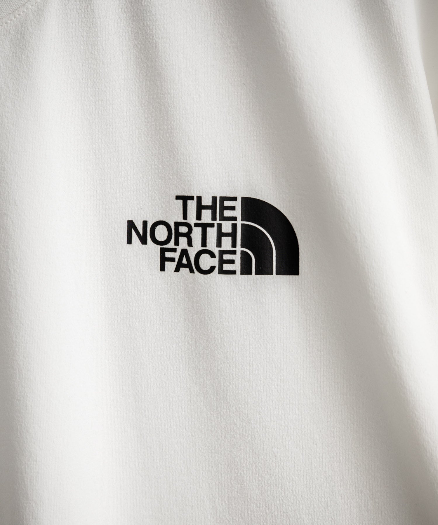 THE NORTH FACE ザ・ノースフェイス M'S MISSION S/S R/TEE レギュラーフィット半袖プリントTシャツ 15939