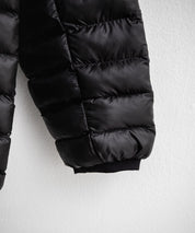 THE NORTH FACE TERRA PEAK HOODIE ポケッタブル薄中綿ナイロンフーディジャケット 16624
