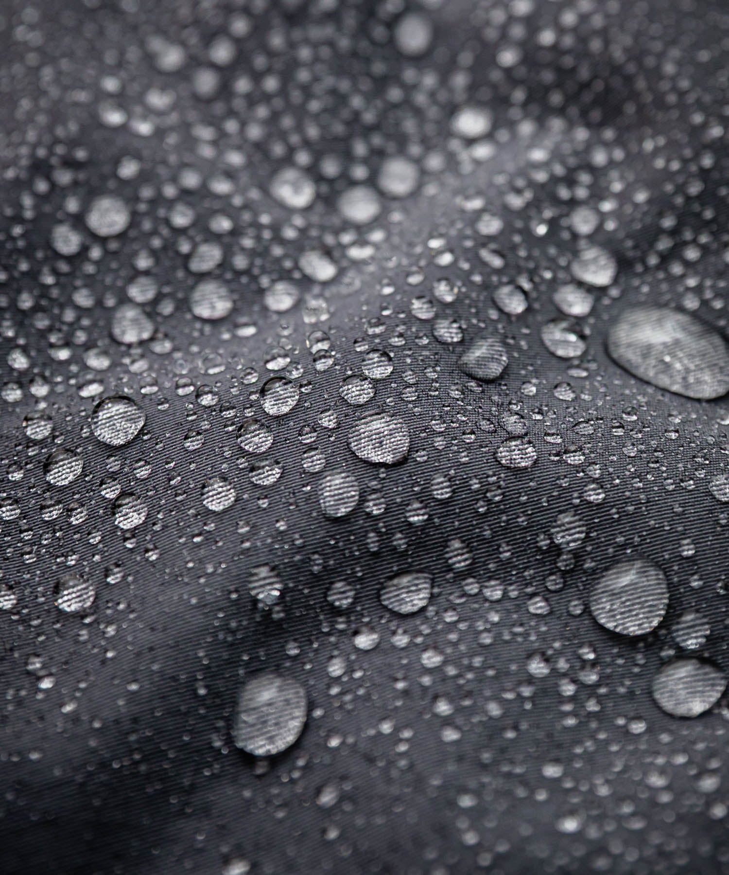 Audience オーディエンス 新色追加 60/40クロス Sorona Dupont 中綿 ステンカラーコート AUD7354 15440