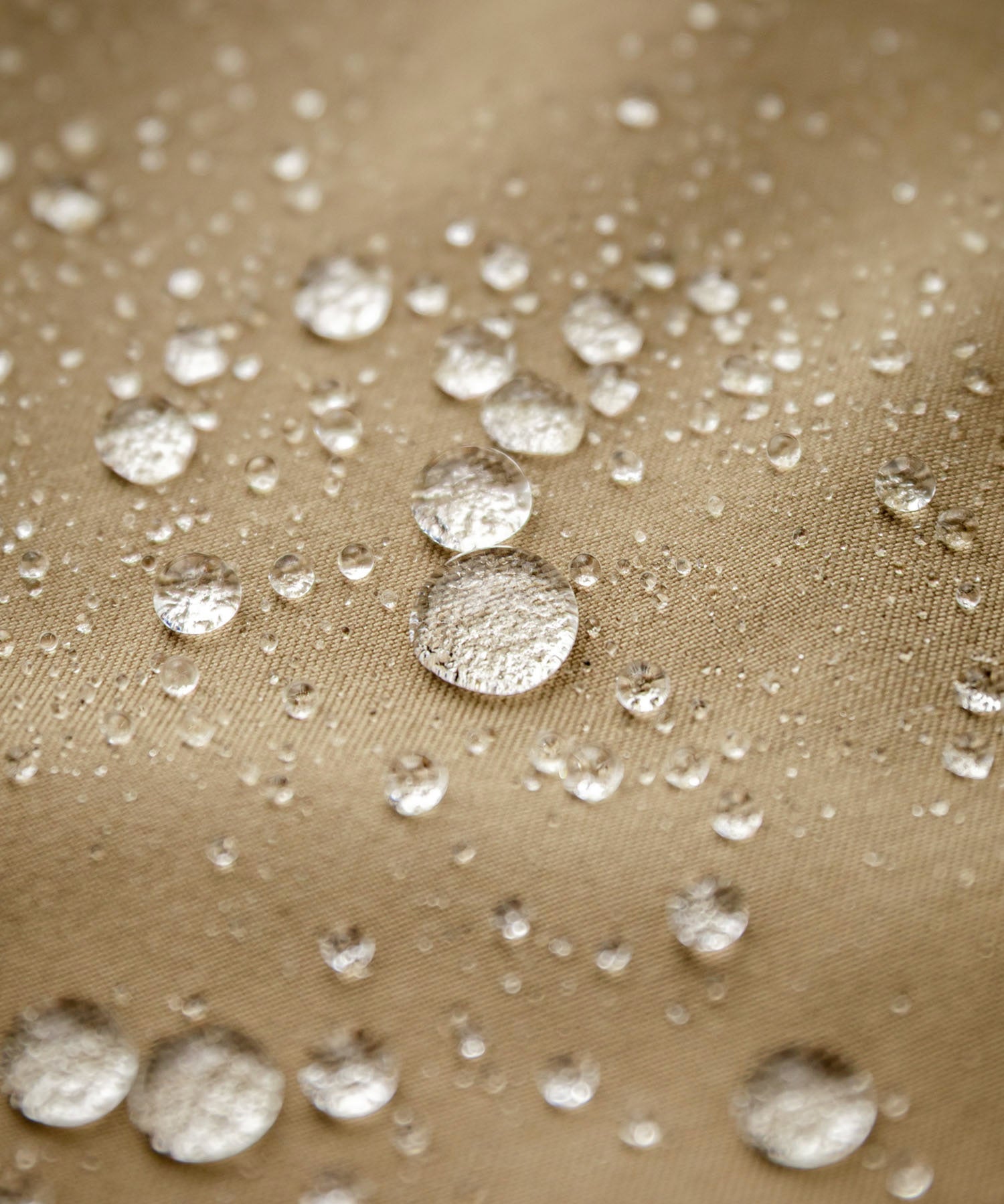 新色追加 KANGOL カンゴール 別注コラボ 接触冷感水陸両用クライミングショートパンツ ボードショーツ ハーフパンツ 14237