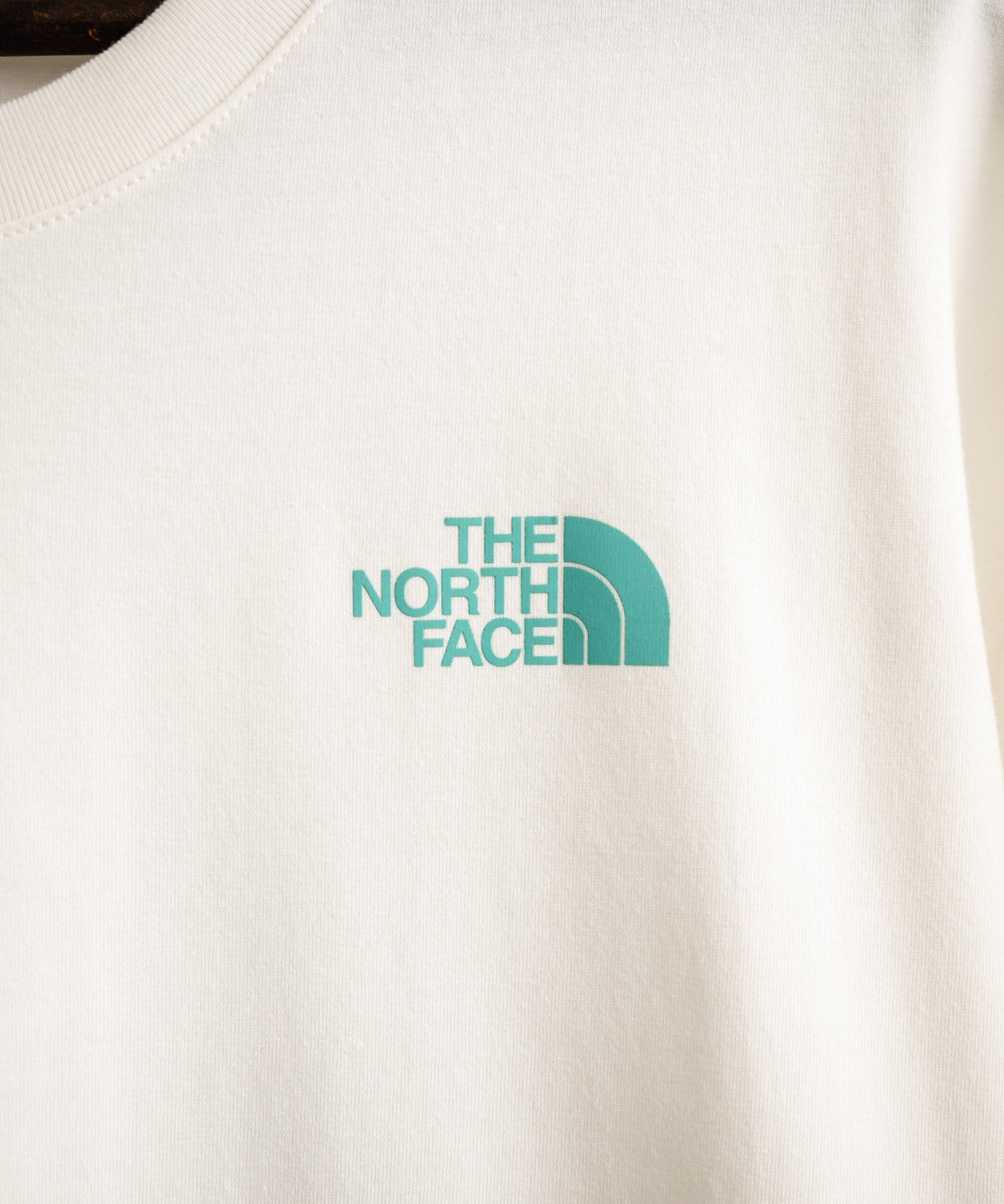 THE NORTH FACE ザ・ノースフェイス M'S EVERGREEN S/S R/TEE 1 バックプリント半袖クルーネックTシャツ 16023