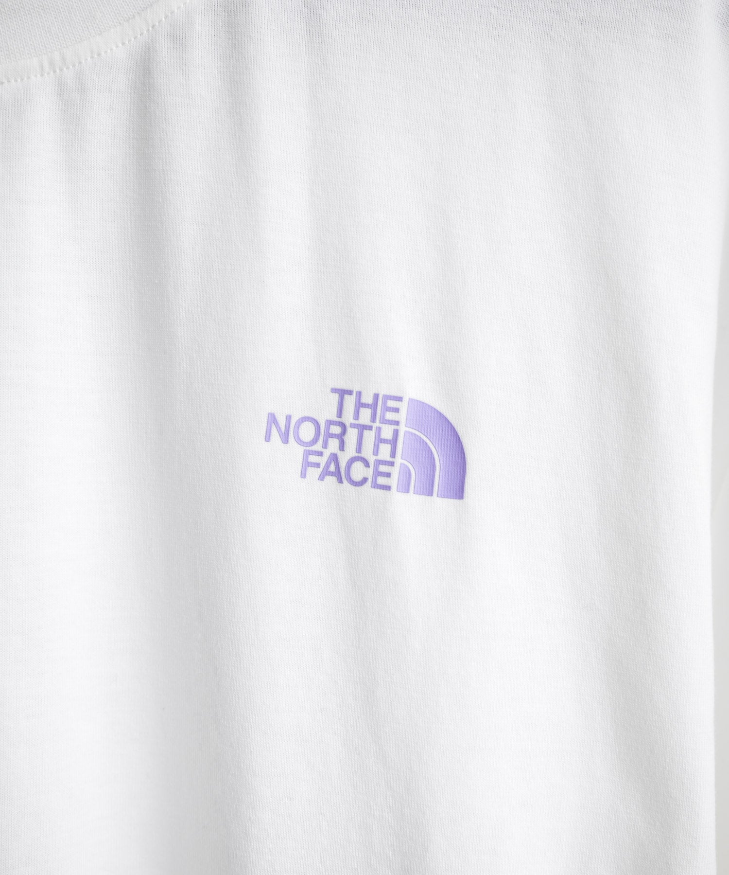 THE NORTH FACE ザ・ノースフェイス U CAMP BOX LOGO RELAXED SS TEE GRAPHIC - AP バックプリントTシャツ 16250