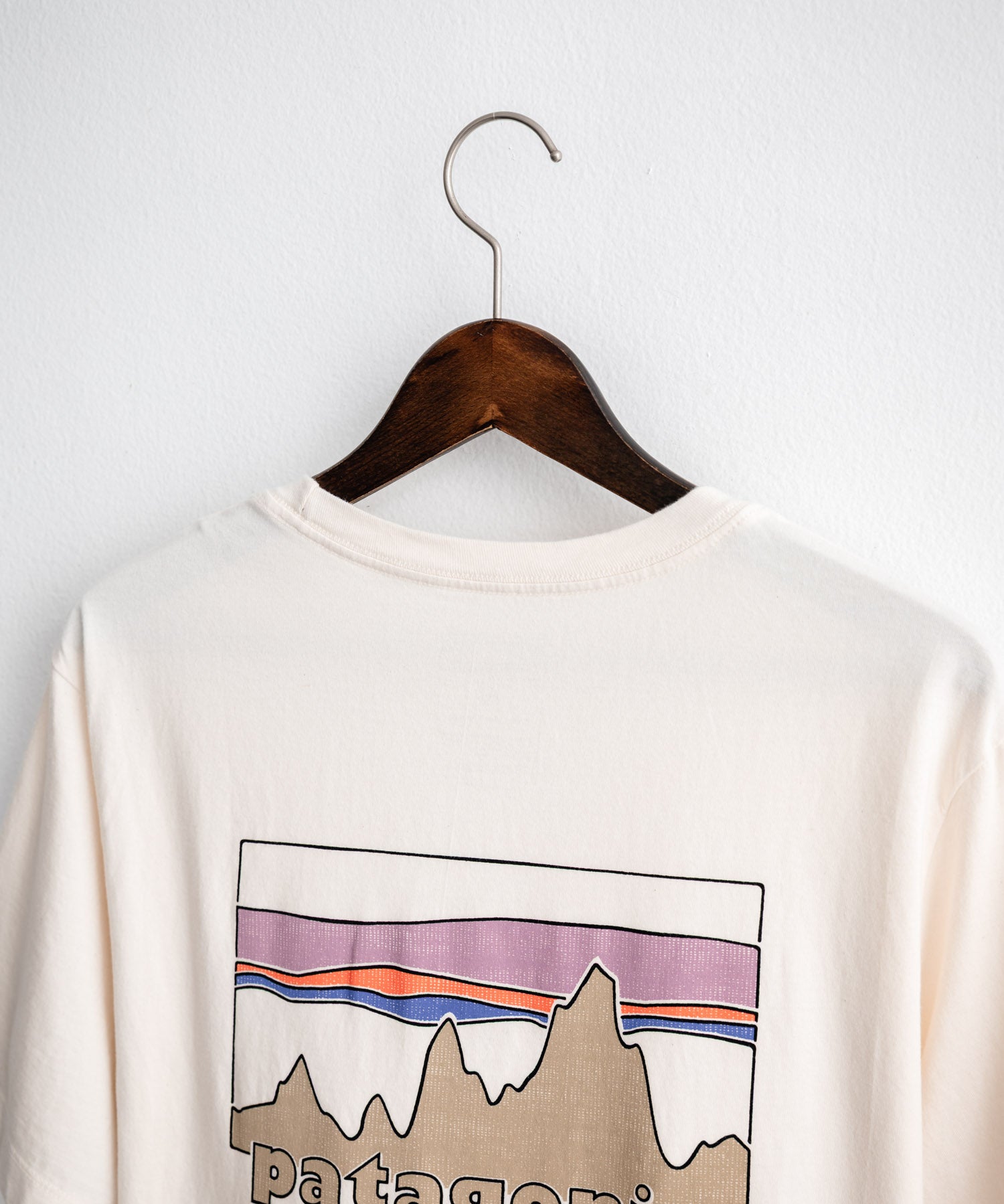 Patagonia パタゴニア M’S '73 SKYLINE T SHIRT オーガニックコットンバックプリント半袖Tシャツ 16143