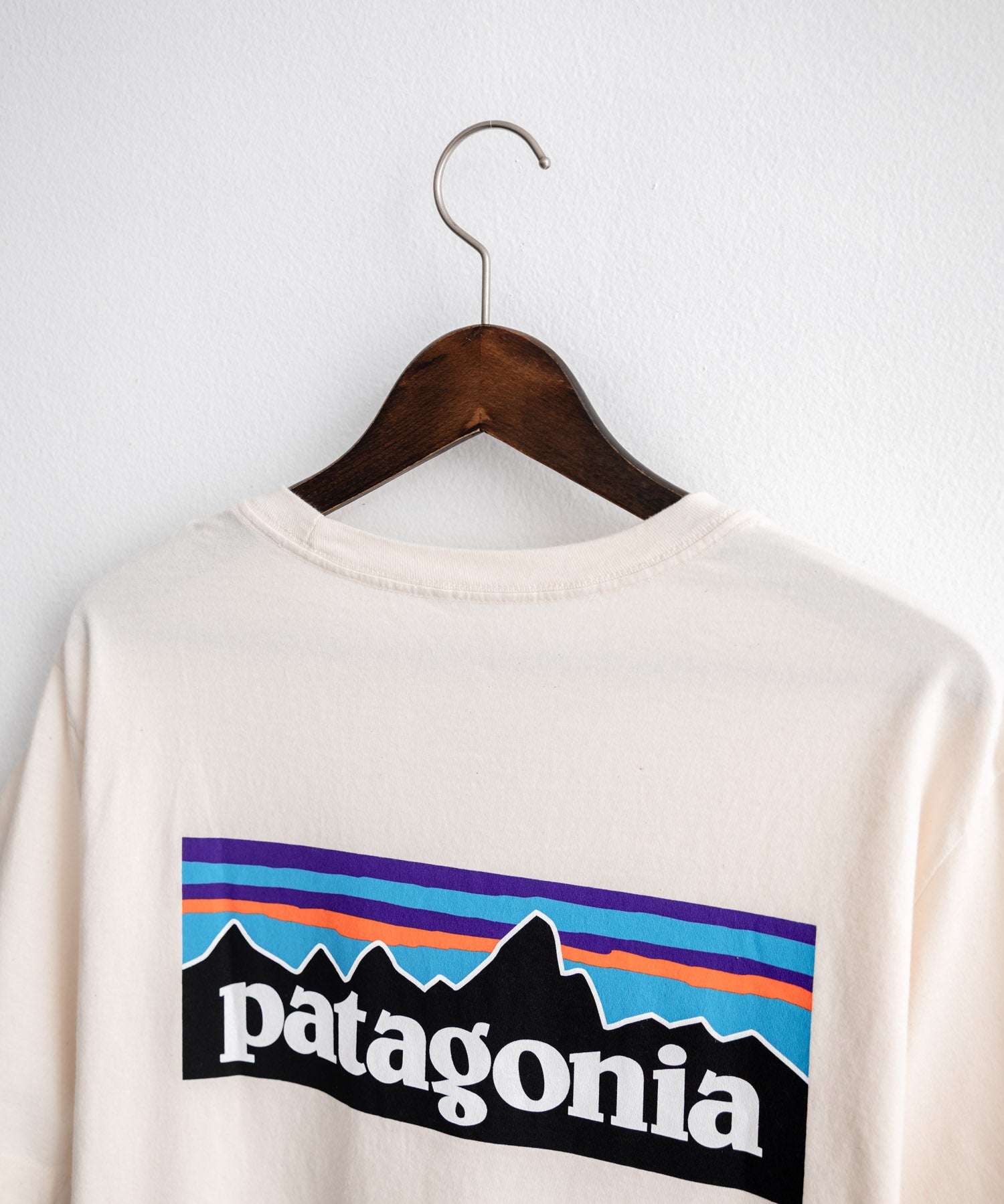 Patagonia パタゴニア MS P 6 LOGO T SHIRT オーガニックコットンバックプリントP-6ロゴ半袖Tシャツ 16144
