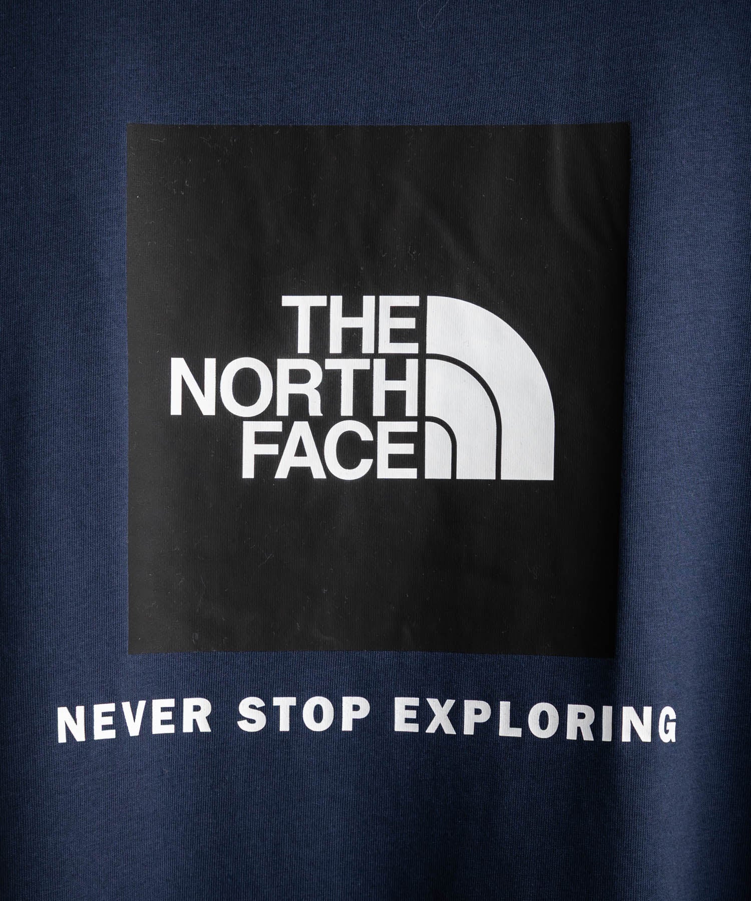 THE NORTH FACE ザ・ノースフェイス EVO BOX NSE REG SS TEE バックプリントクルーネック半袖Tシャツ 16068
