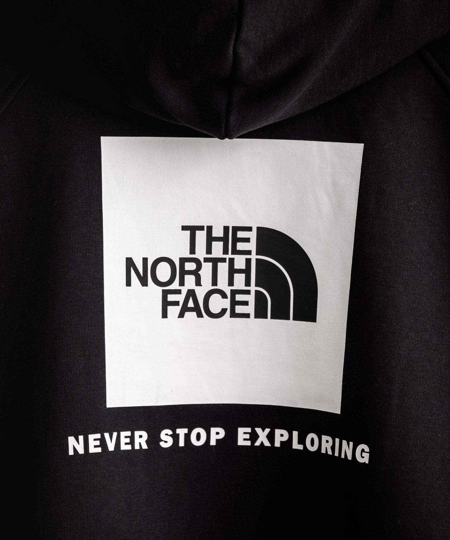 THE NORTH FACE ザ・ノースフェイス RAGLAN REDBOX HOODIE オーバーサイズ裏起毛バックプリントラグランプルオーバーパーカー 15214