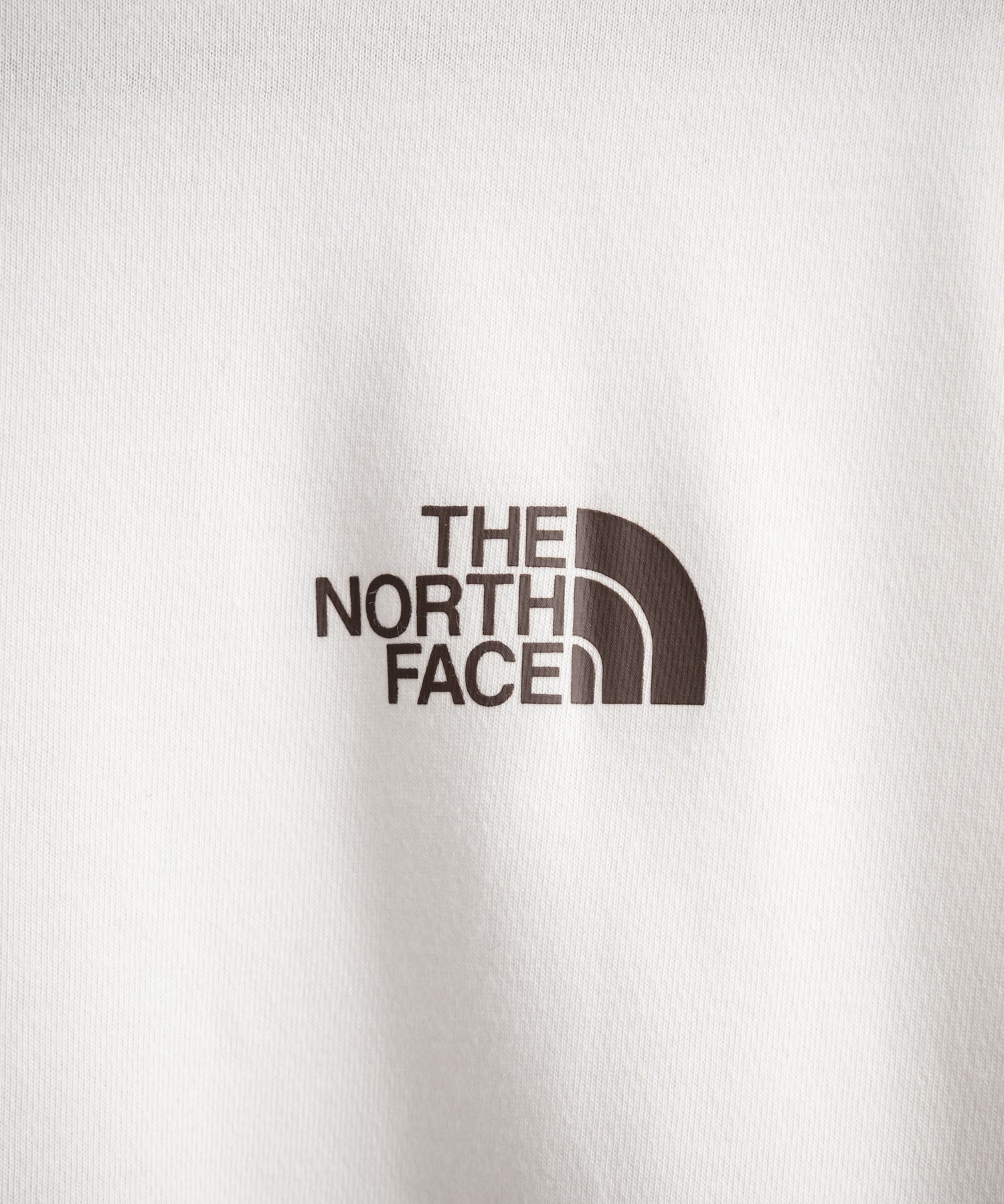 日本未展開モデル THE NORTH FACE ザ・ノースフェイス WHITE LABEL ホワイトレーベル RETRO S/S R/TEE 半袖プリントTシャツ 16063