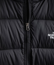 THE NORTH FACE ザ・ノースフェイス M HYDRNLTE DWN HOODIE 600フィルパワーナイロンタフタフーディーダウンジャケット/耐久性撥水ナイロンジャケット 16555